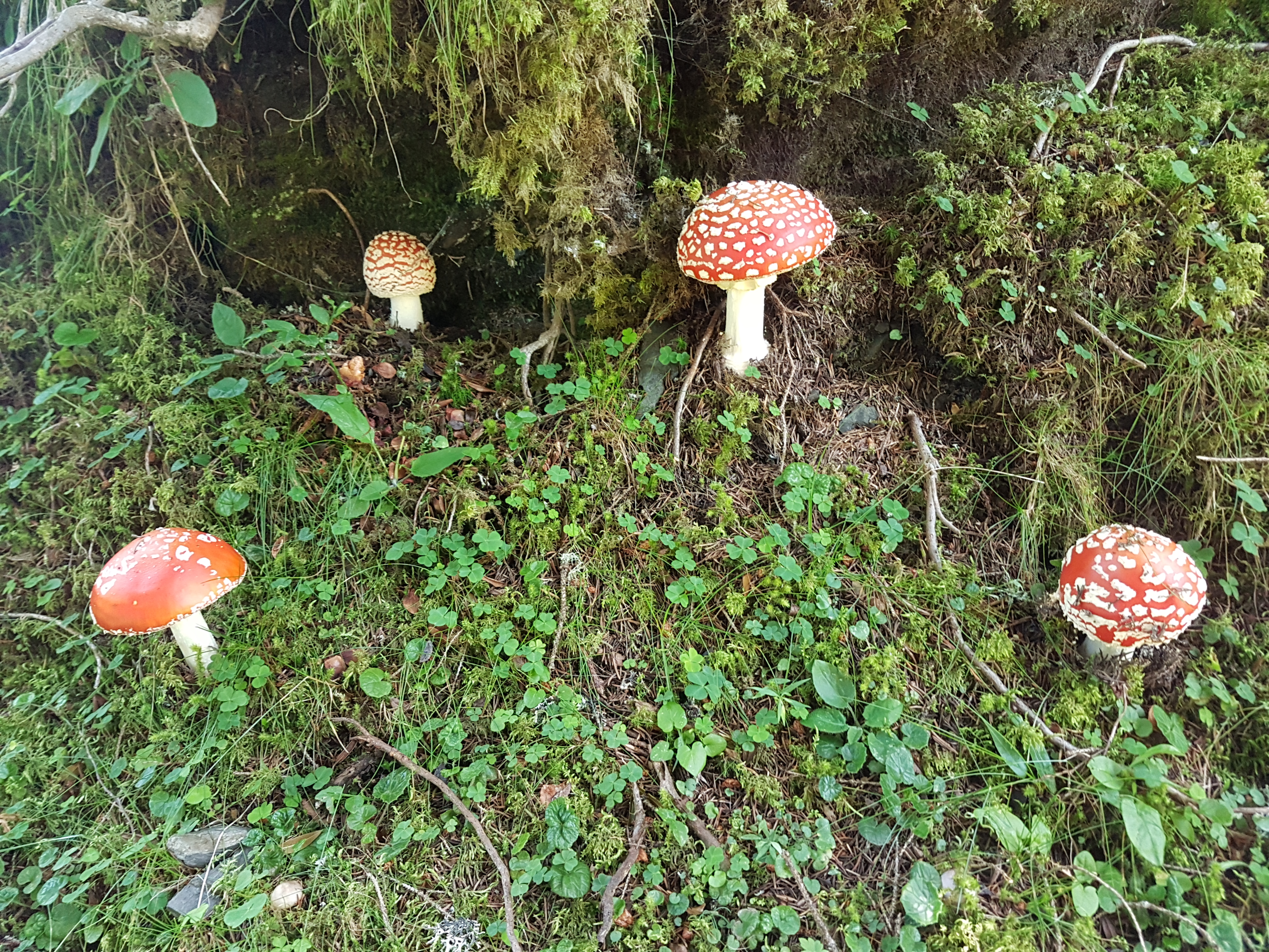 20170815_133935.jpg