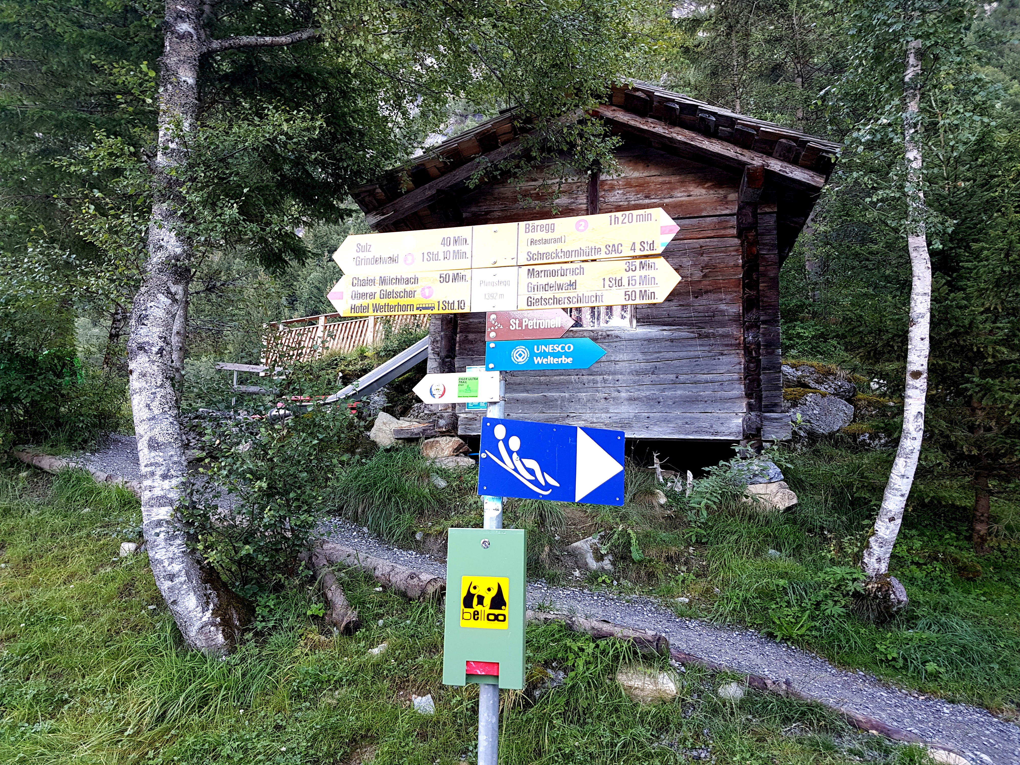20171022_171254.jpg