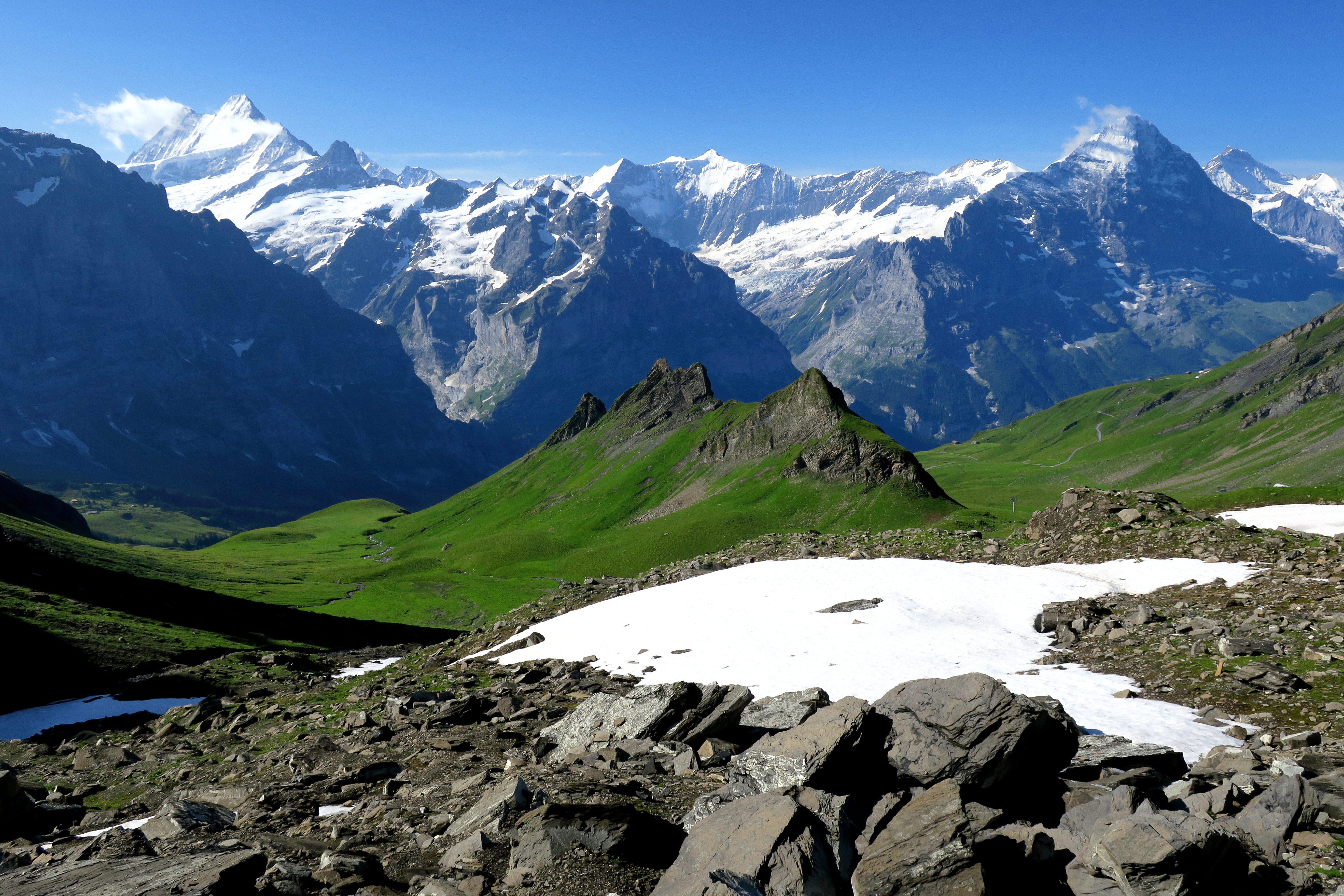 IMG_6380M