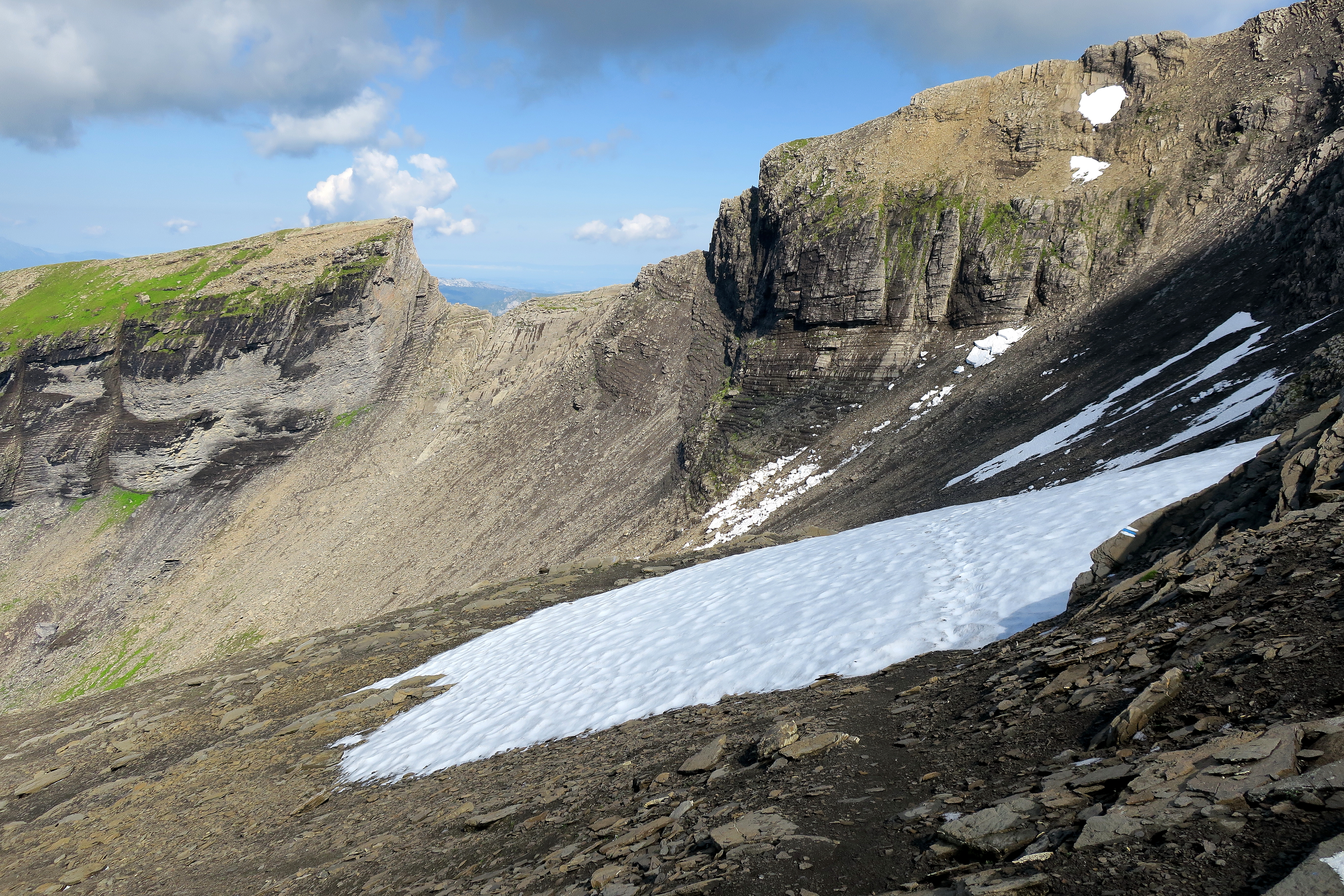 IMG_6390M