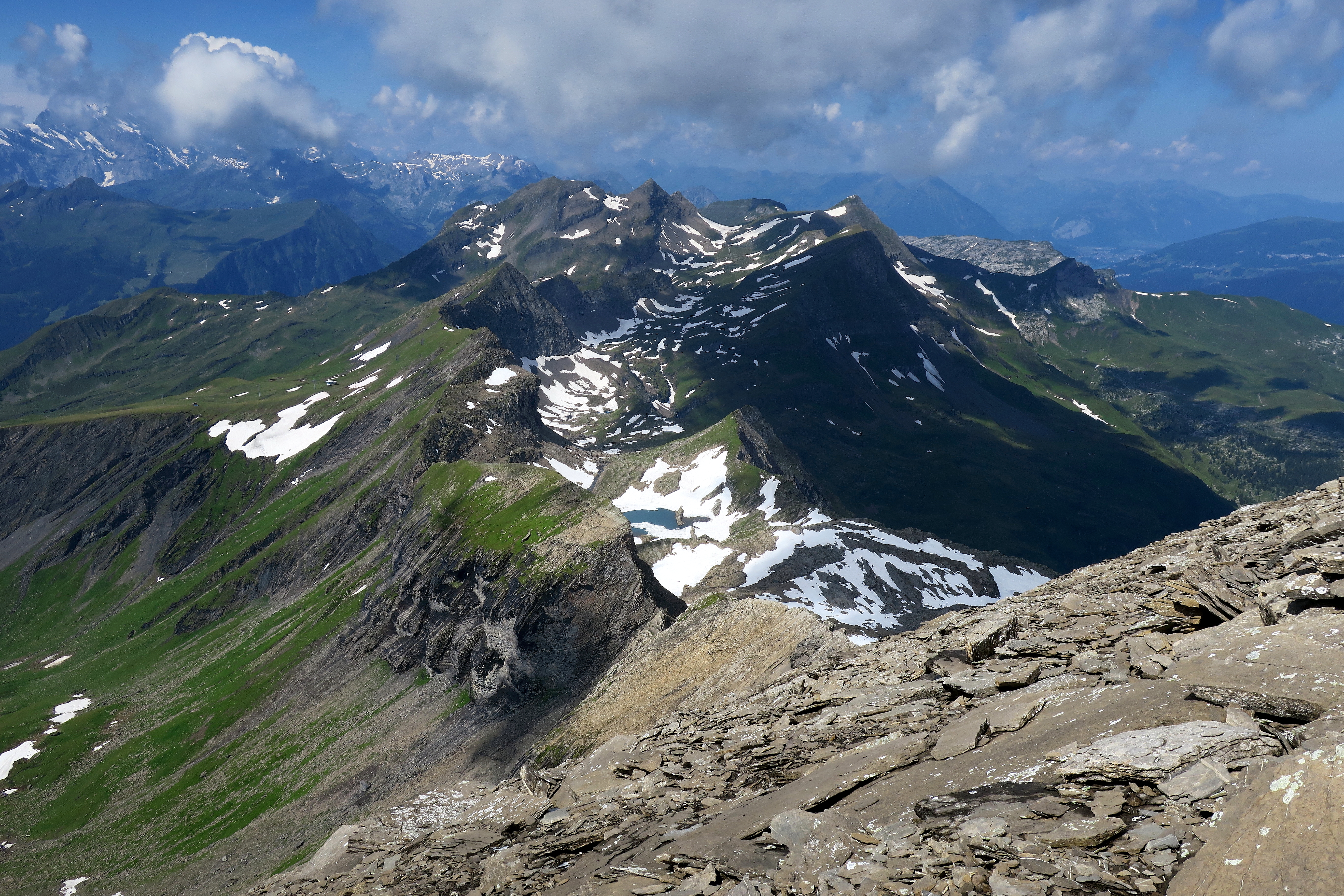 IMG_6411M