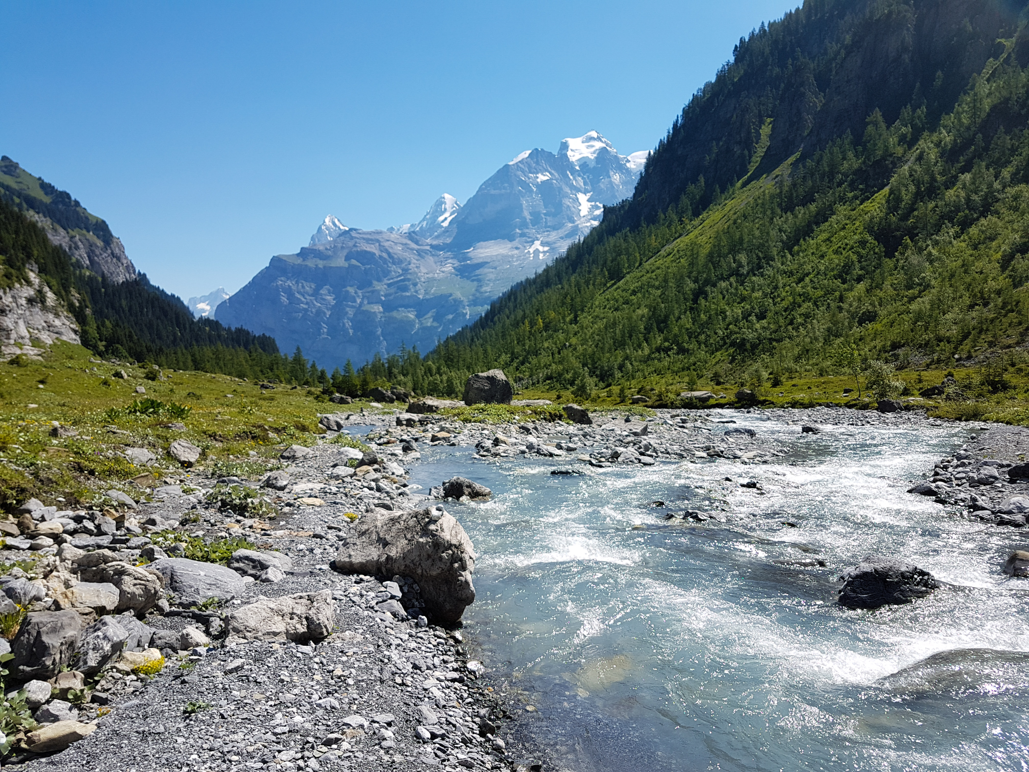 LRM_EXPORT_20180718_170803.jpg