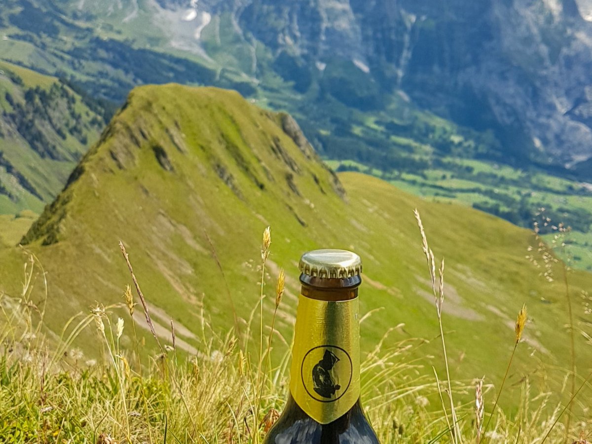 Uf Spitzen (from Grindelwald)