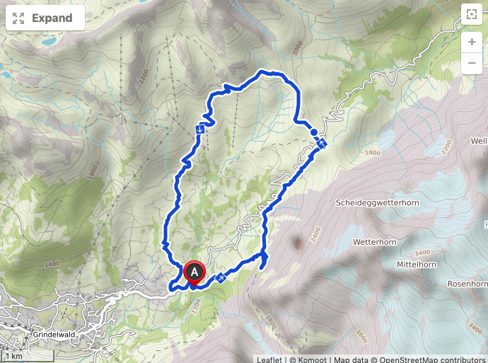 Screen Shot 2019-08-28 at 8.51.17 PM