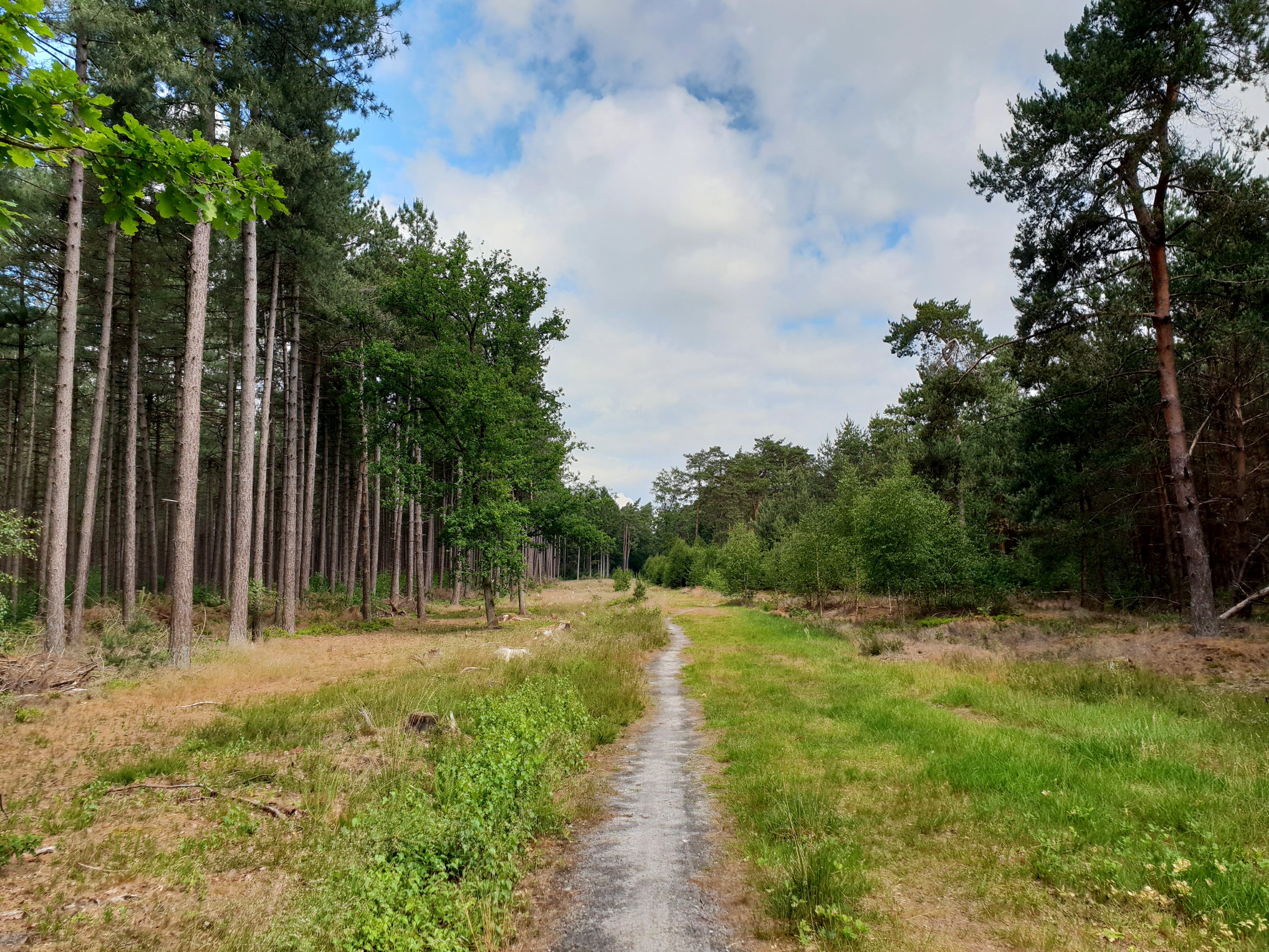 Beer & Hike: Postel – itsabrewtifulworld