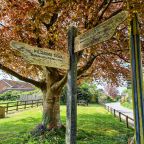 Winchester Hike:  South Downs Loop