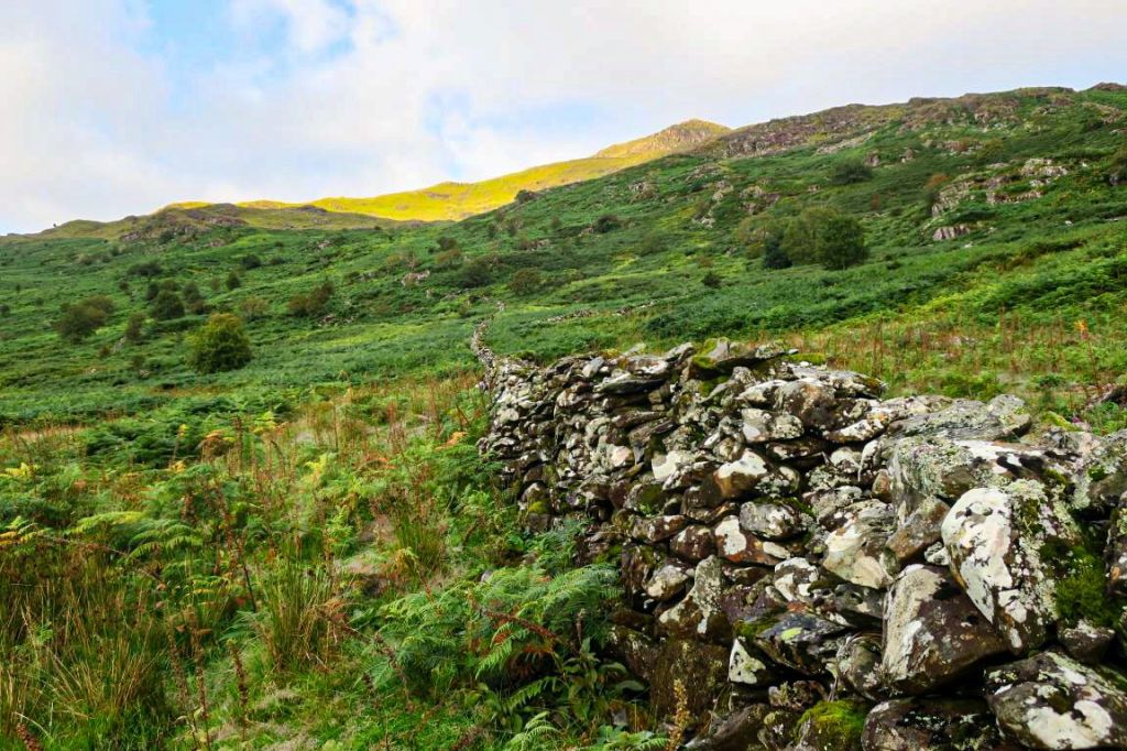 20240806091722_compress178199456737785417255