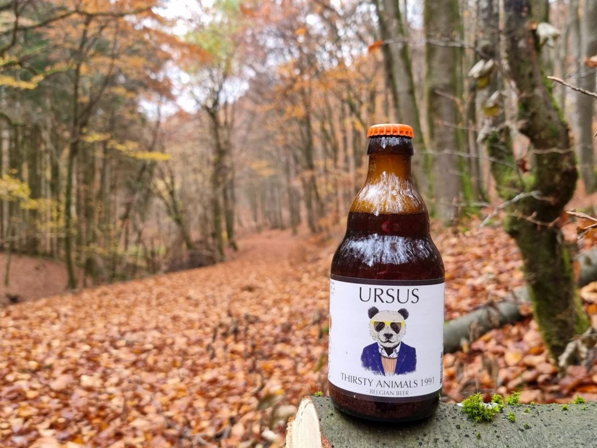 Beer & The Bulge:  Ouren & Three Country Hike